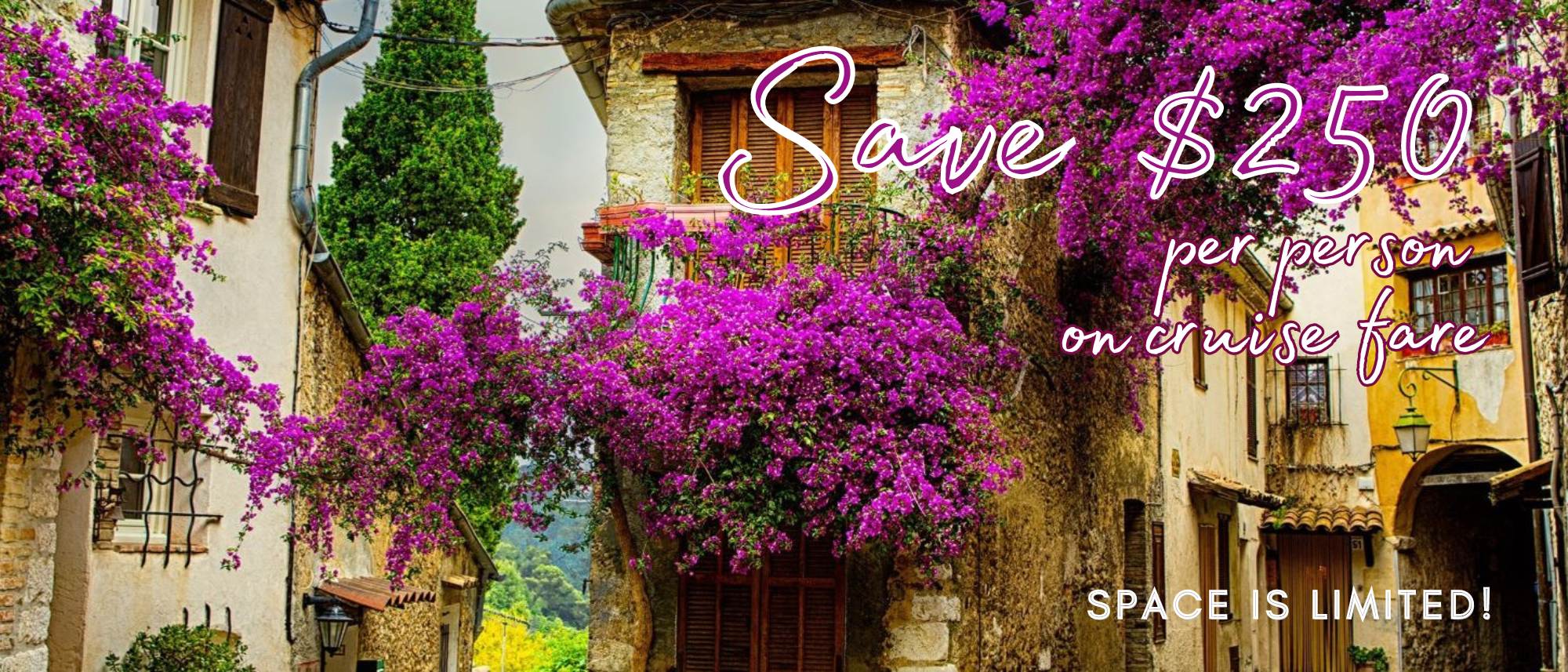 Colors of Provence MBG Header250